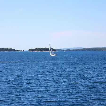 Mare, Pasman Tkon